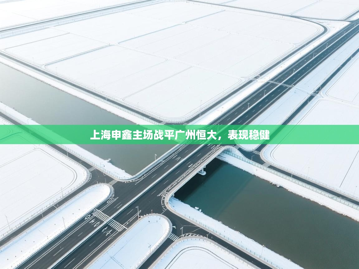 上海申鑫主场战平广州恒大，表现稳健  第2张