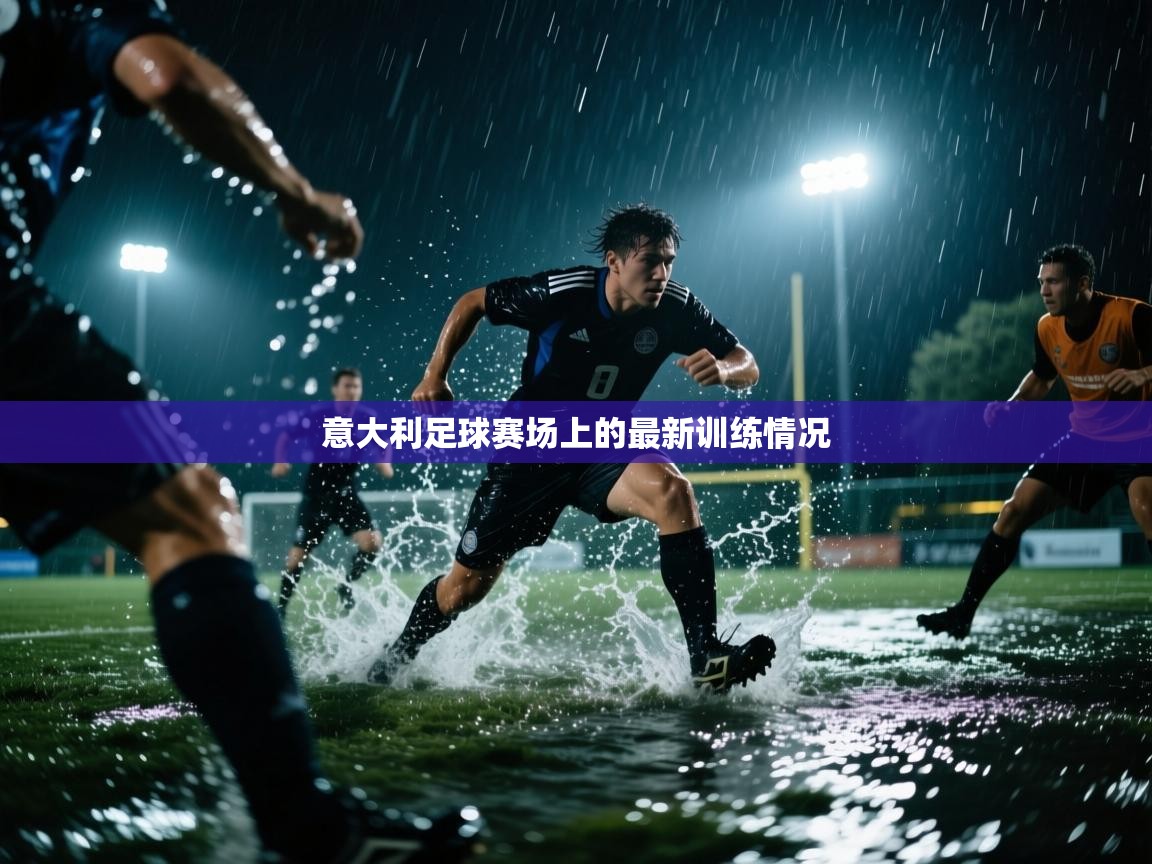 意大利足球赛场上的最新训练情况  第1张