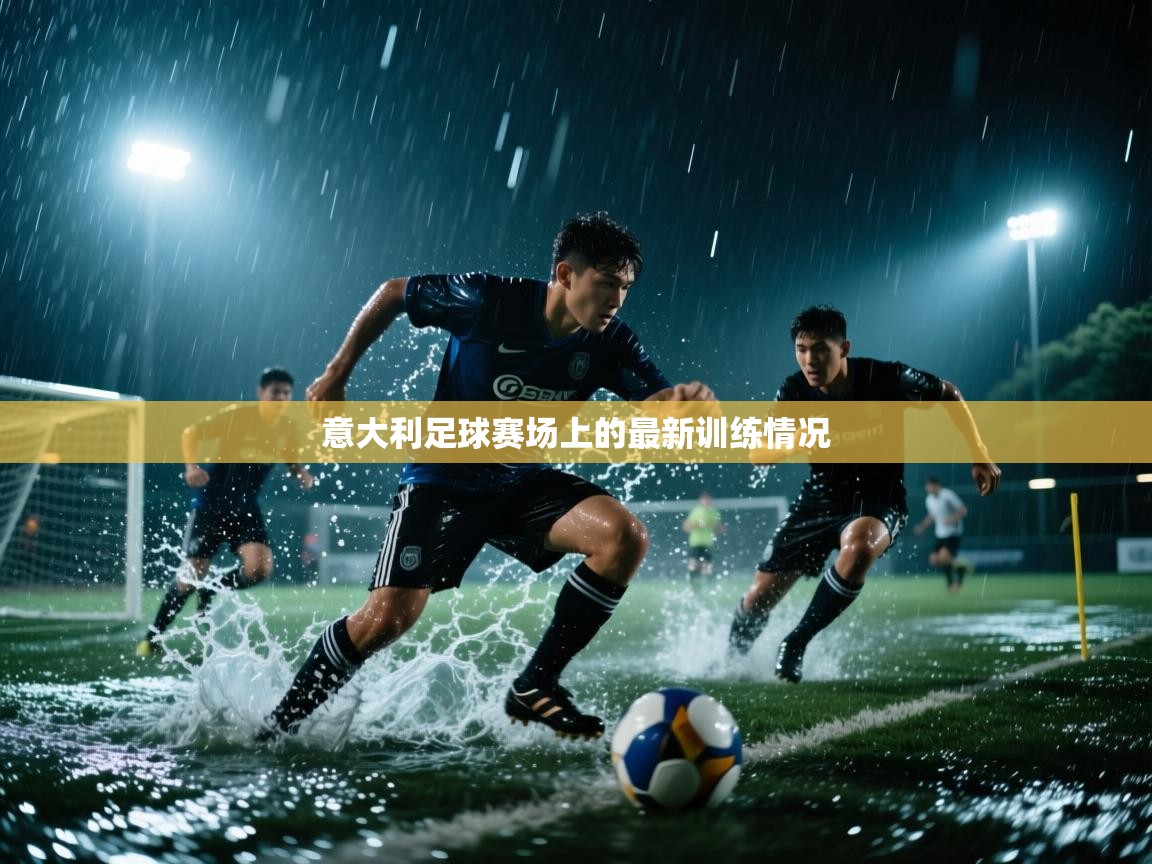 意大利足球赛场上的最新训练情况  第2张