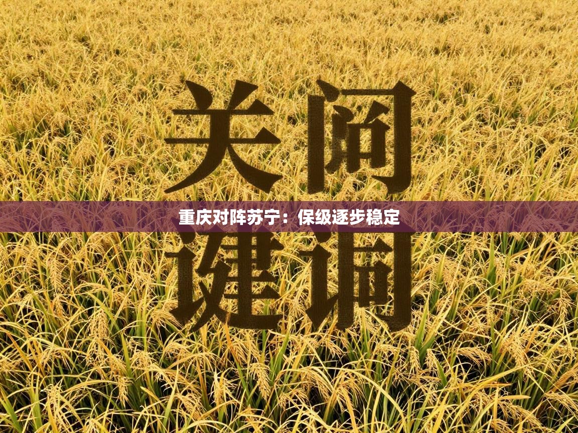 重庆对阵苏宁：保级逐步稳定  第1张