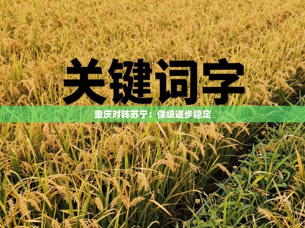 重庆对阵苏宁：保级逐步稳定  第2张