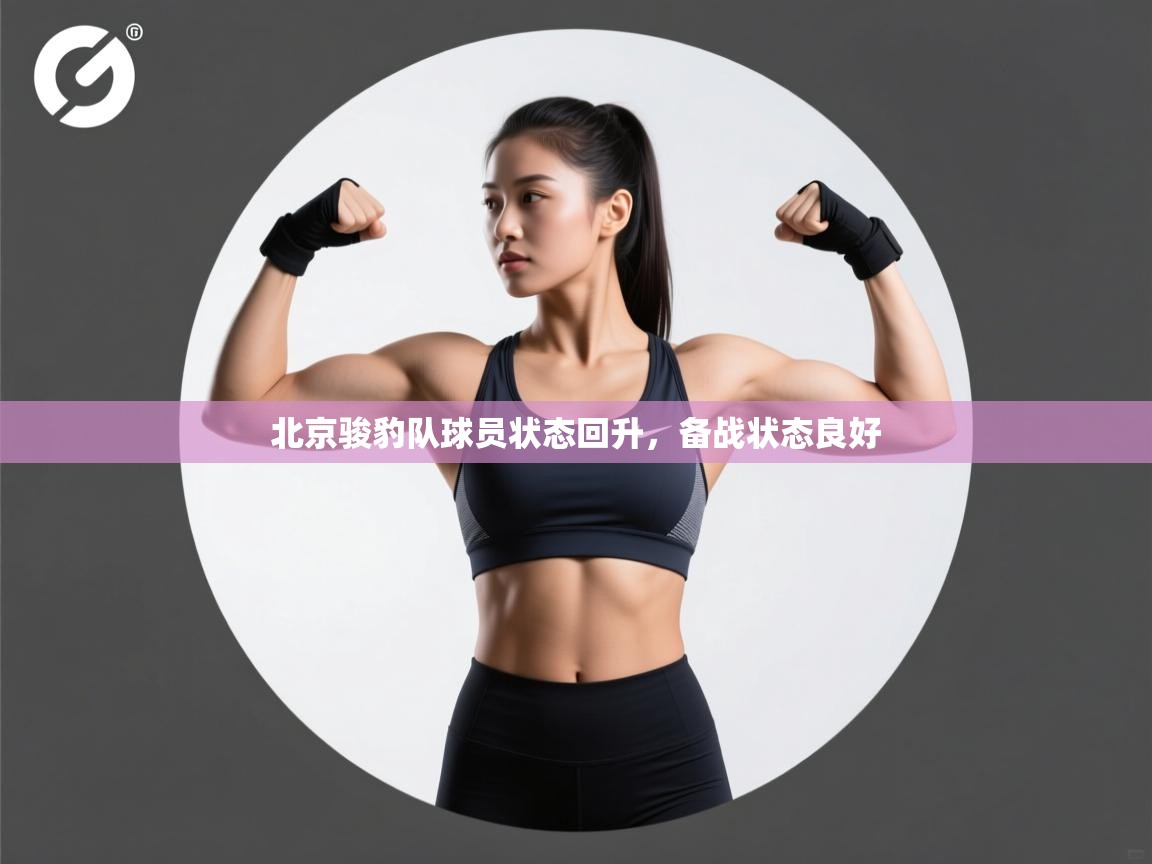 北京骏豹队球员状态回升,备战状态良好 第1张